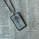 Sting Ray, vintage 1930s dictionary illustration, up-cycled to hand soldered glass pendant
