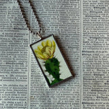 Flowering cactus, succulent, vintage botanical illustrations, hand-soldered glass pendant