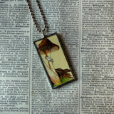 Mushroom and fungus, vintage natural history illustrations up-cycled to soldered glass pendant