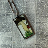 Mushroom and fungus, vintage natural history illustrations up-cycled to soldered glass pendant