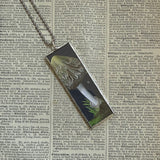 Mushroom and fungus, vintage natural history illustrations up-cycled to soldered glass pendant