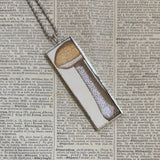 Mushroom and fungus, vintage natural history illustrations up-cycled to soldered glass pendant