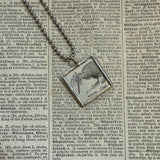 Kiwi bird, apertyx, vintage 1930s dictionary illustration, upcycled to soldered glass pendant