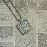 Kiwi bird, apertyx, vintage 1930s dictionary illustration, upcycled to soldered glass pendant