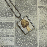 Mushroom and fungus, vintage natural history illustrations up-cycled to soldered glass pendant