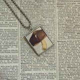 Mushroom and fungus, vintage natural history illustrations up-cycled to soldered glass pendant