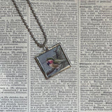 Humminbgirds, vintage 1940s field guide book illustrations, upcycled to soldered glass pendant