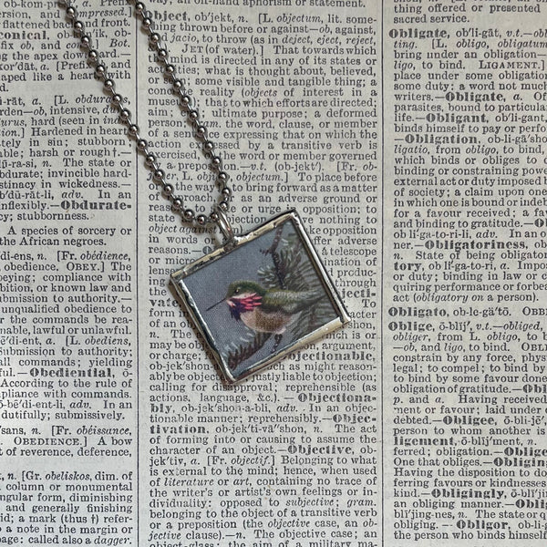 Humminbgirds, vintage 1940s field guide book illustrations, upcycled to soldered glass pendant