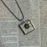 Beetles, vintage 1940s vintage field guide illustrations, up-cycled to soldered glass pendant