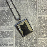 Cat, Kitten, Kitty, vintage children's book illustrations, up-cycled to soldered glass pendant