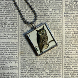Owls, vintage illustrations, up-cycled to soldered glass pendant