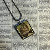 Owls, vintage illustrations, up-cycled to soldered glass pendant