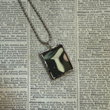 Mushroom and fungus, vintage natural history illustrations up-cycled to soldered glass pendant