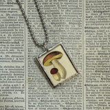 Mushroom and fungus, vintage natural history illustrations up-cycled to soldered glass pendant