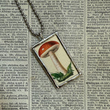 Mushroom and fungus, vintage natural history illustrations up-cycled to soldered glass pendant