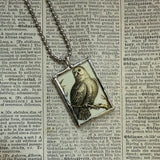 Owls, vintage illustrations, up-cycled to soldered glass pendant
