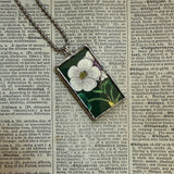 00Cyclamen and white anemone flowers, botanical illustrations, up-cycled to soldered glass pendant