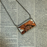 Poppy flower, vintage botanical illustration, up-cycled to soldered glass pendant