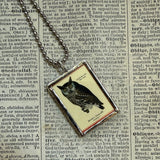 Owls, vintage illustrations, up-cycled to soldered glass pendant