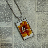 Nasturtium, botanical illustrations, up-cycled to soldered glass pendant