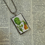 Nasturtium, botanical illustrations, up-cycled to soldered glass pendant