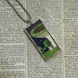 Mushroom and fungus, vintage natural history illustrations up-cycled to soldered glass pendant