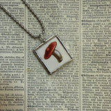 Mushroom and fungus, vintage natural history illustrations up-cycled to soldered glass pendant