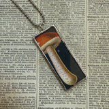 Mushroom and fungus, vintage natural history illustrations up-cycled to soldered glass pendant