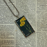 Ragwort, Chicory flowers, botanical illustrations, up-cycled to soldered glass pendant