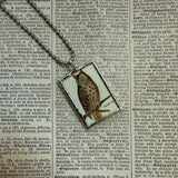 Owls, vintage illustrations, up-cycled to soldered glass pendant