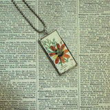 Adonis aestivalis, Adonis vernalis, Pheasant's eye, botanical illustrations, up-cycled to soldered glass pendant