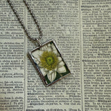 Water Lily, lotus, lotus pod, botanical illustrations, up-cycled to soldered glass pendant