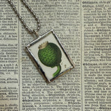Water Lily, lotus, lotus pod, botanical illustrations, up-cycled to soldered glass pendant