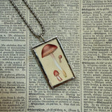 Mushroom and fungus, vintage natural history illustrations up-cycled to soldered glass pendant