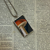 Mushroom and fungus, vintage natural history illustrations up-cycled to soldered glass pendant