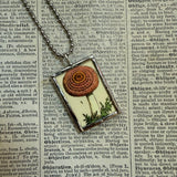 Mushroom and fungus, vintage natural history illustrations up-cycled to soldered glass pendant