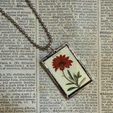 Dahlia and Gazania rigens  flowers, botanical illustrations, up-cycled to soldered glass pendant