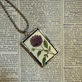 Dahlia and Gazania rigens  flowers, botanical illustrations, up-cycled to soldered glass pendant