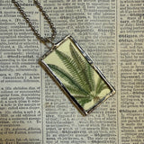 Ferns, botanical illustrations, up-cycled to soldered glass pendant