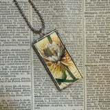 Queen of the Night Cactus flower, botanical illustrations, up-cycled to soldered glass pendant