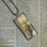 Queen of the Night Cactus flower, botanical illustrations, up-cycled to soldered glass pendant