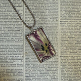 Variegated tulip, botanical illustrations, up-cycled to soldered glass pendant