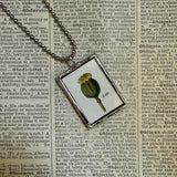 Poppy and dandelion seeds, botanical illustrations, up-cycled to soldered glass pendant