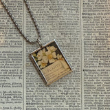 Wild rose and red geranium flowers, botanical illustrations, up-cycled to soldered glass pendant