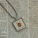 Ladybug, Beetles, vintage 1940s vintage field guide illustrations, up-cycled to soldered glass pendant