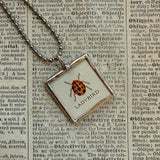 Ladybug, Beetles, vintage 1940s vintage field guide illustrations, up-cycled to soldered glass pendant