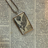 Tea Plant, vintage botanical dictionary illustration, upcycled to soldered glass pendant