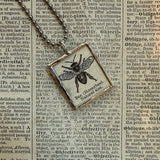Bee, vintage dictionary illustration, up-cycled to soldered glass pendant