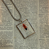 Beetles, vintage 1940s vintage field guide illustrations, up-cycled to soldered glass pendant