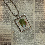 Beetles, vintage 1940s vintage field guide illustrations, up-cycled to soldered glass pendant